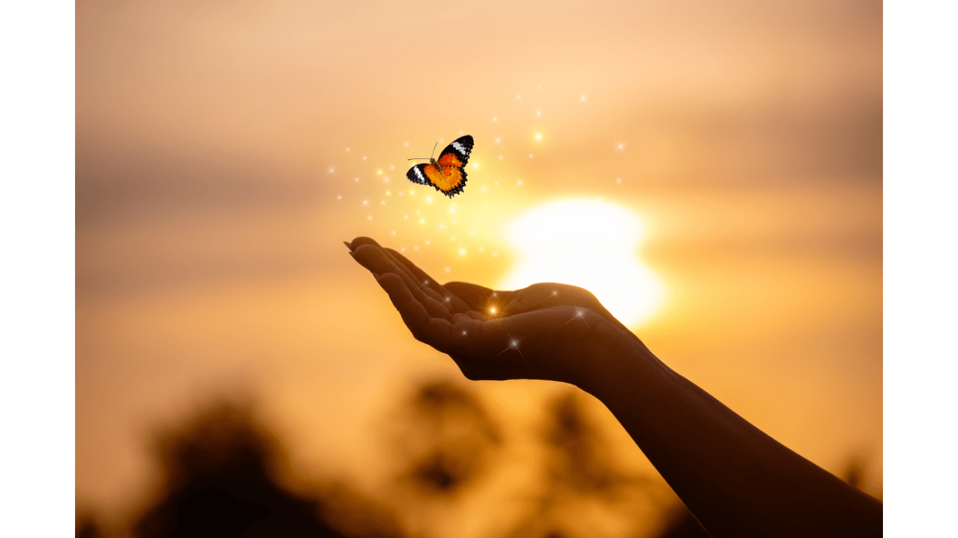 Schmetterling in Hand_Trauer_Veränderung_Verlust